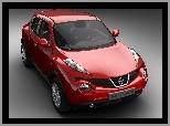 Prototyp, Nissan Juke